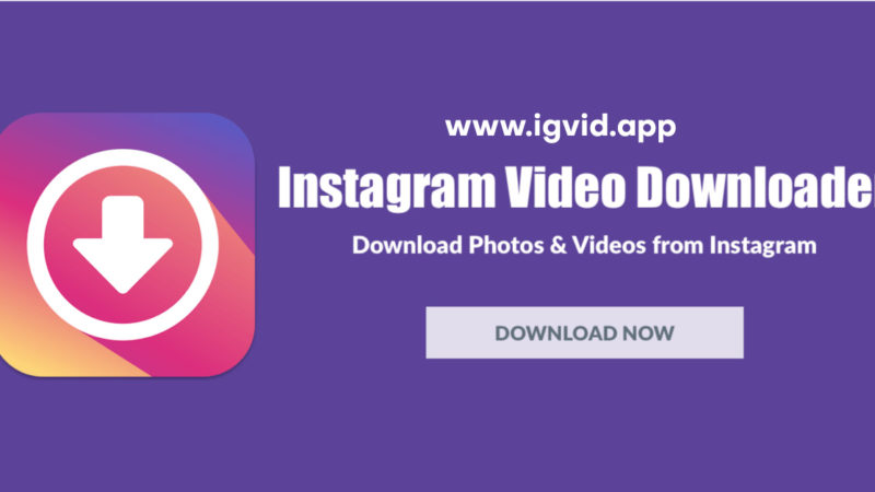 Download Instagram Video, Photos, Igtv & Reels: Unlock Your Social Media Superpowers!