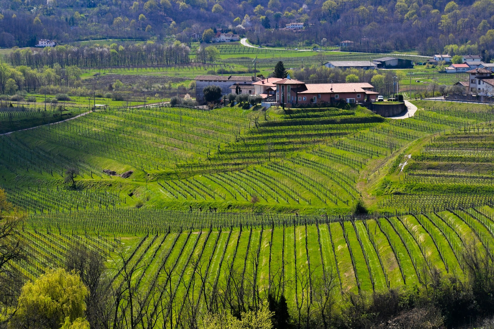 Fall in Love with Tuscany’s Rolling Hills and Timeless Vineyards