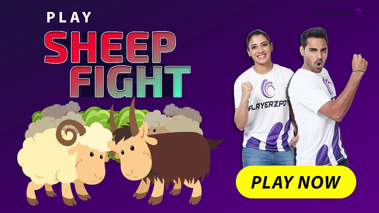 Let’s Get Ready for a Sheep Fight Game