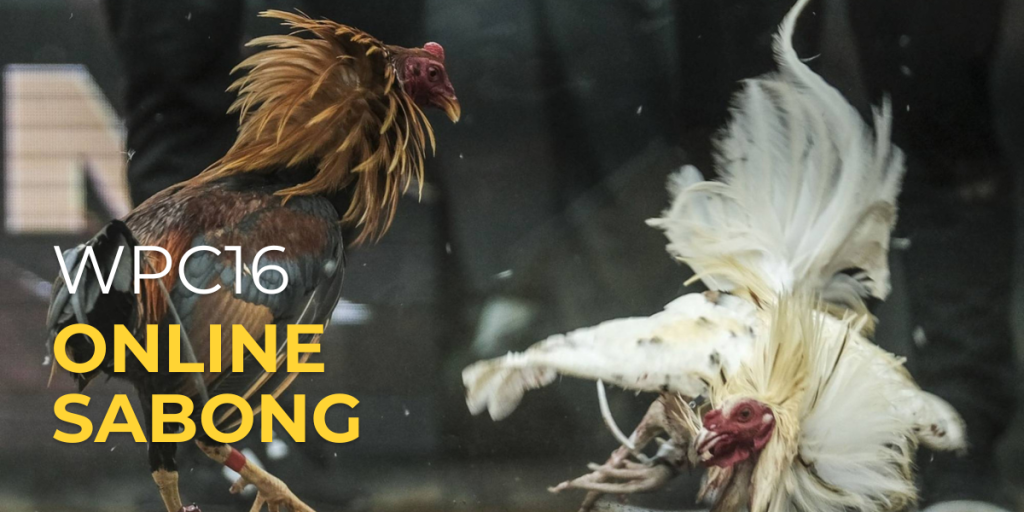 WPC16: 2022 Easy Methods To Dashboard Login