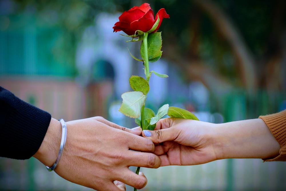 Best flowers you can get online for Valentine’s Day