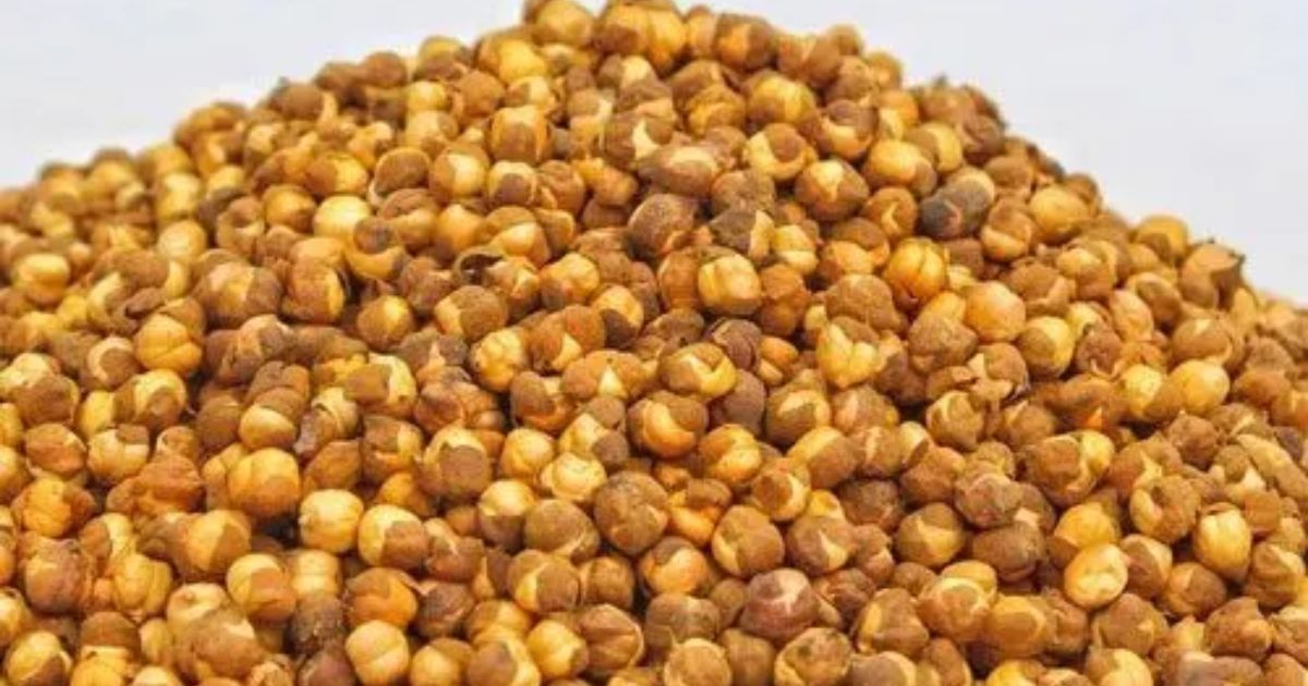 wellhealthorganic.com: 10-benefits-of-eating-roasted-gram