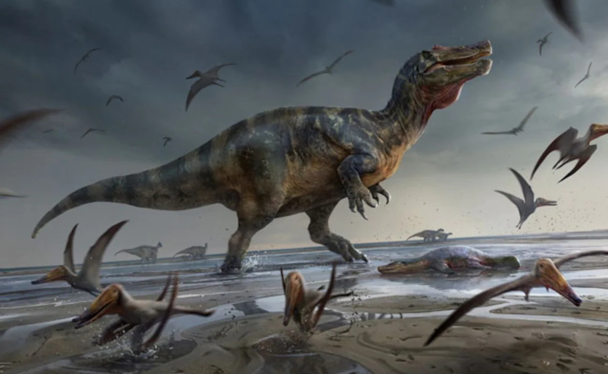 How Dinosaurs Shrank and Became Birds