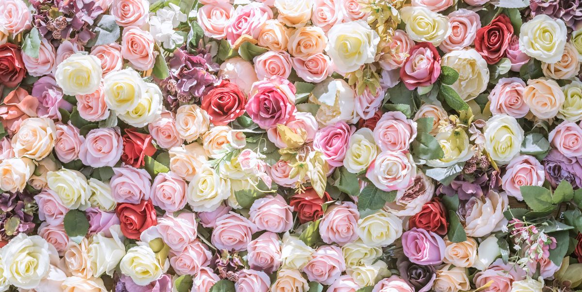 Get the best roses from your checklist