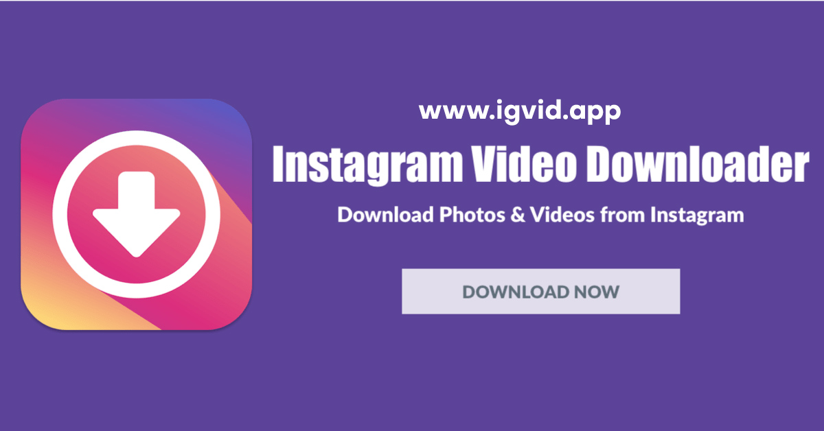 Instantly Download Instagram Reels with One Simple Link