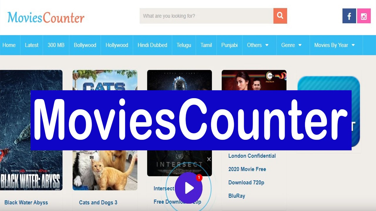 Moviescounter 2022 | News, Photos, Videos