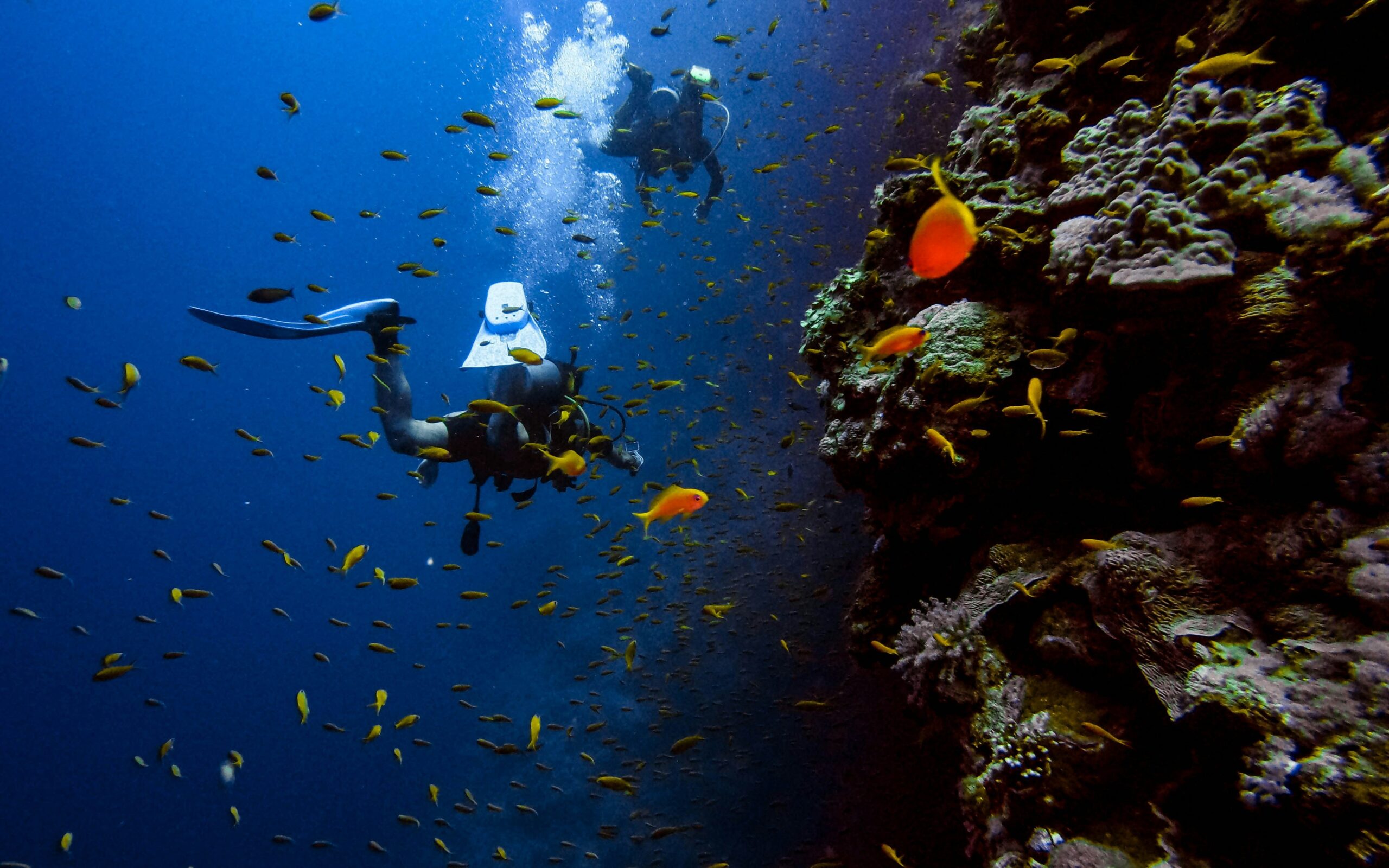 Scuba Diving Destinations You Need to Add to Your Bucket List